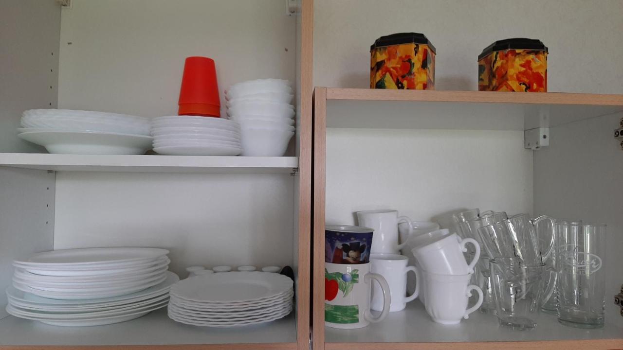 Ferienwohnung Koenig Niedergurig Bei Bautzen Malschwitz Eksteriør billede